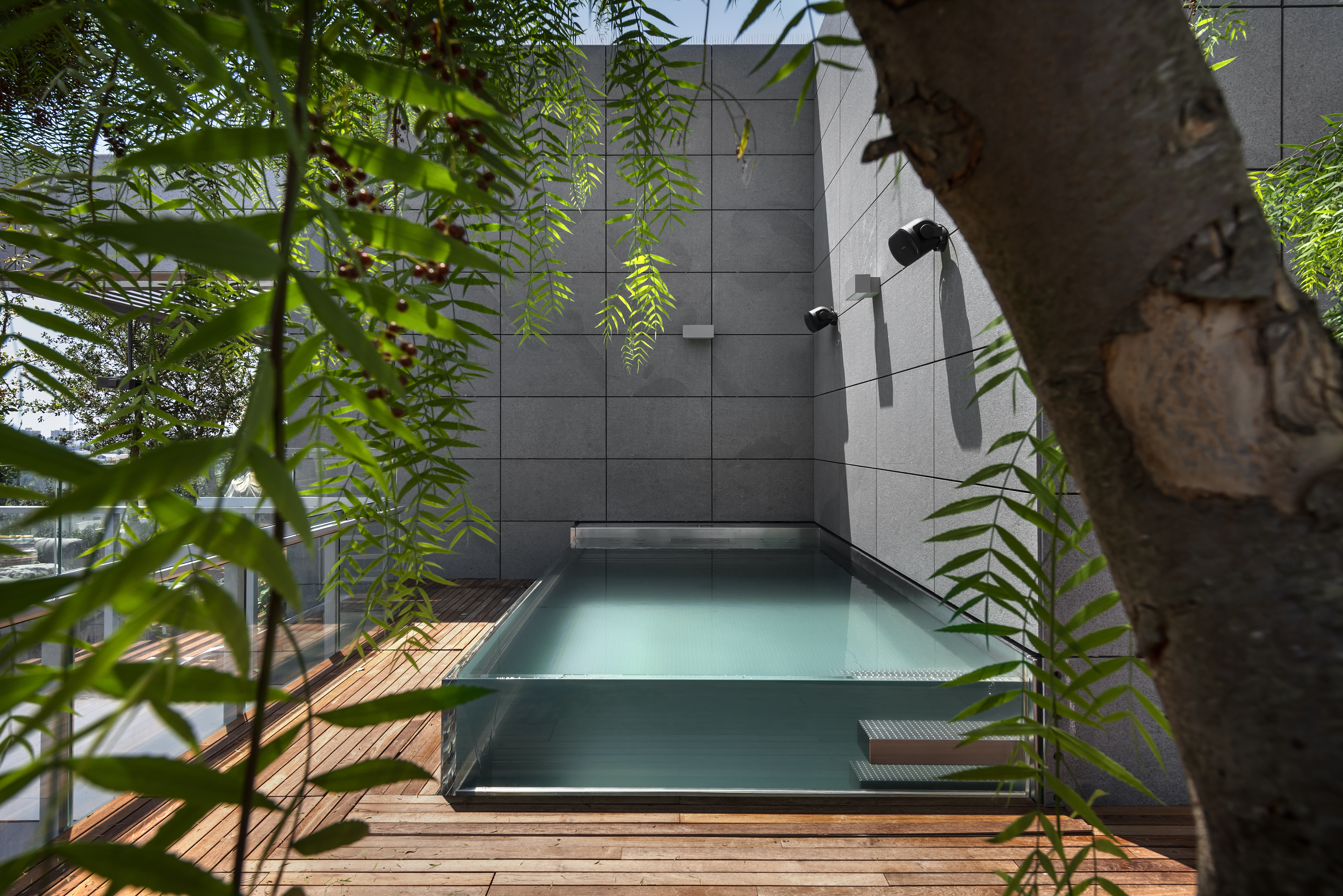 Piscina compacta em inox num pátio ajardinado. Referência de integração arquitetónica.