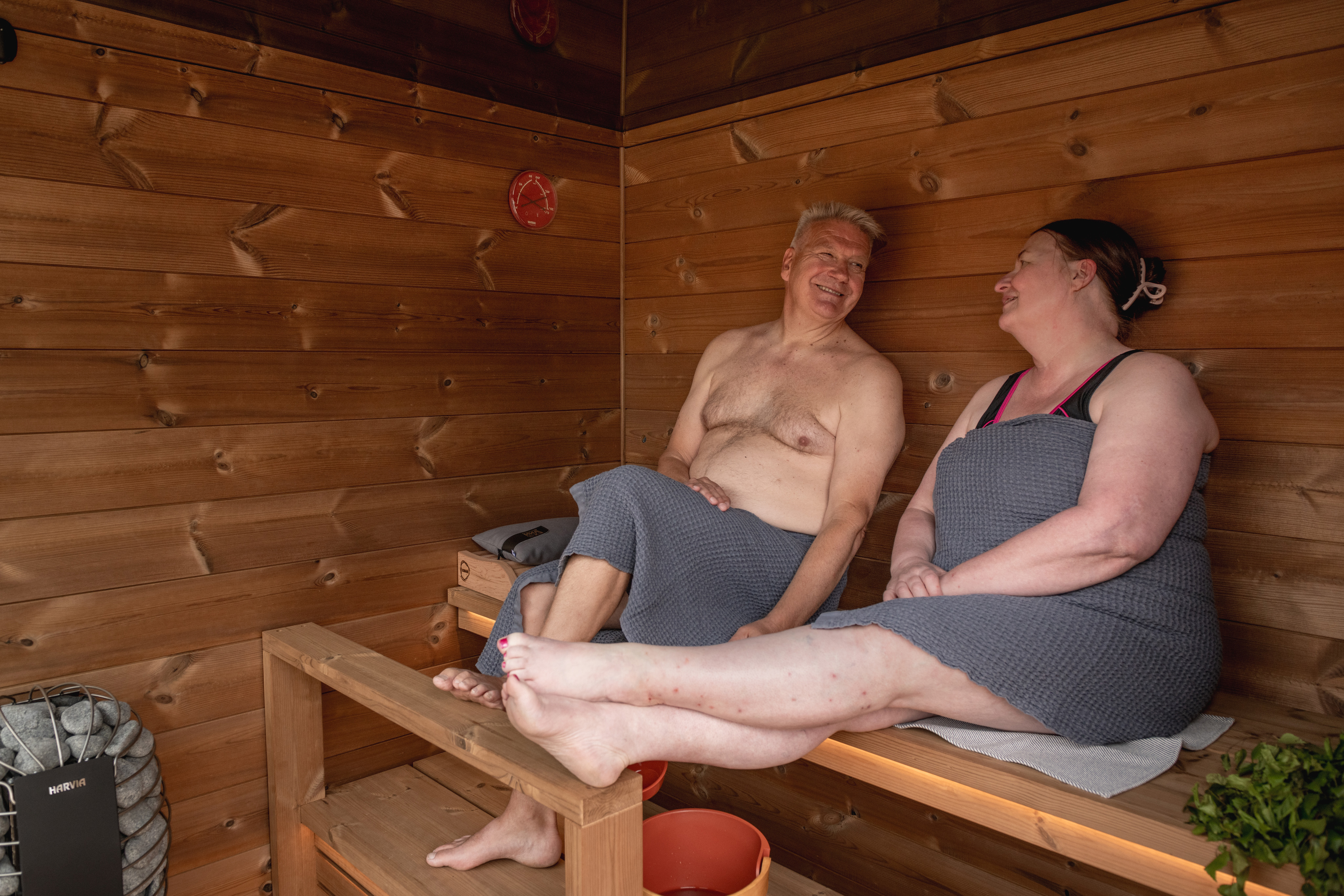 Sauna Harvia Dawn M